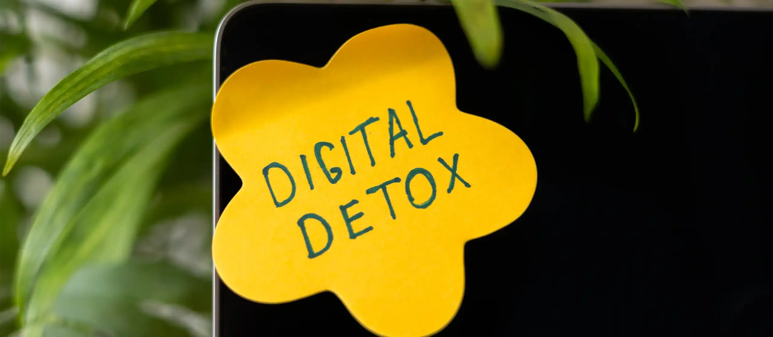 Digital Detox im Alltag: 7 einfache Wege zu mehr Ruhe im Kopf