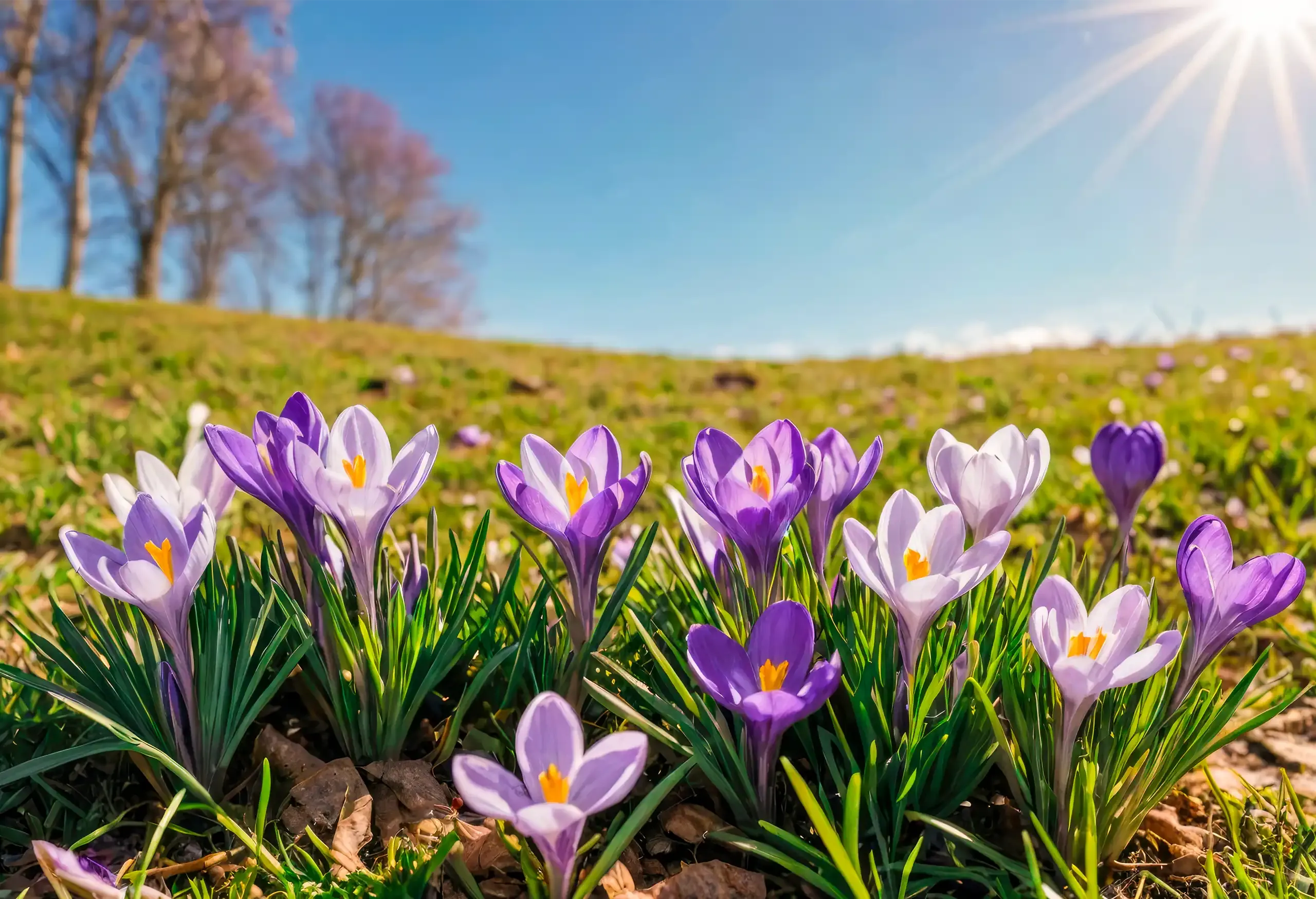 Vom Winterschlaf in den Frühlingsflow: Kapha verstehen ohne dich zu optimieren